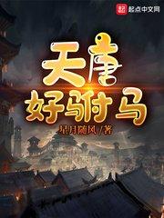 天唐好驸马怎么不更新了