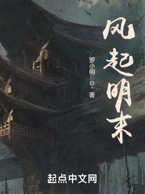 风起明末3Q中文网