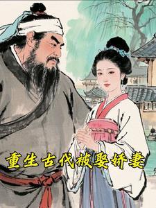 重生之古代娶夫郎
